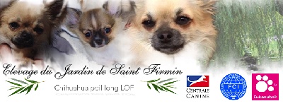 Du Jardin De Saint Firmin